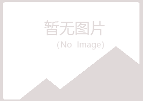 鹤壁山城盼夏化学有限公司